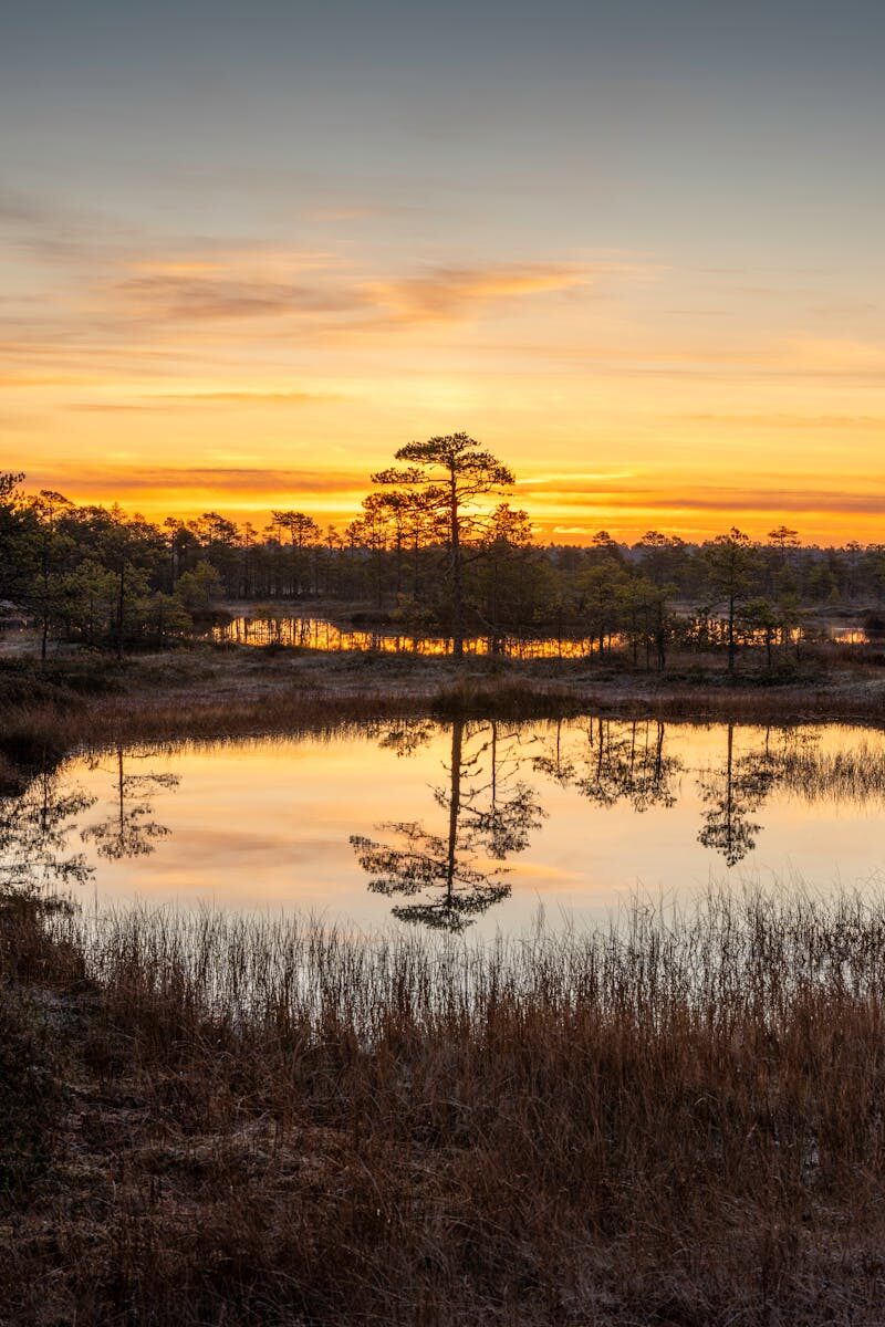 Water District Transparency